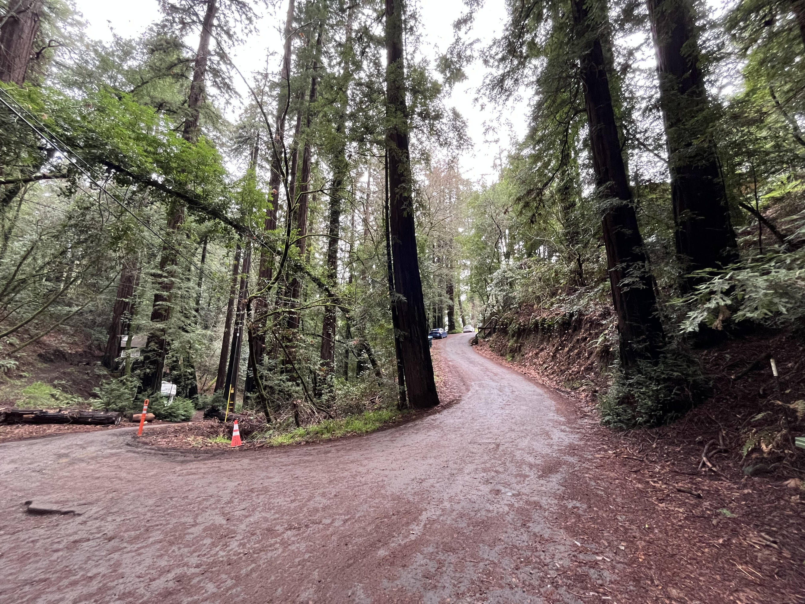 Opportunity/Residential/Land/Sale